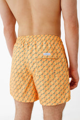 Lourmarin Kuşlar / Sarı